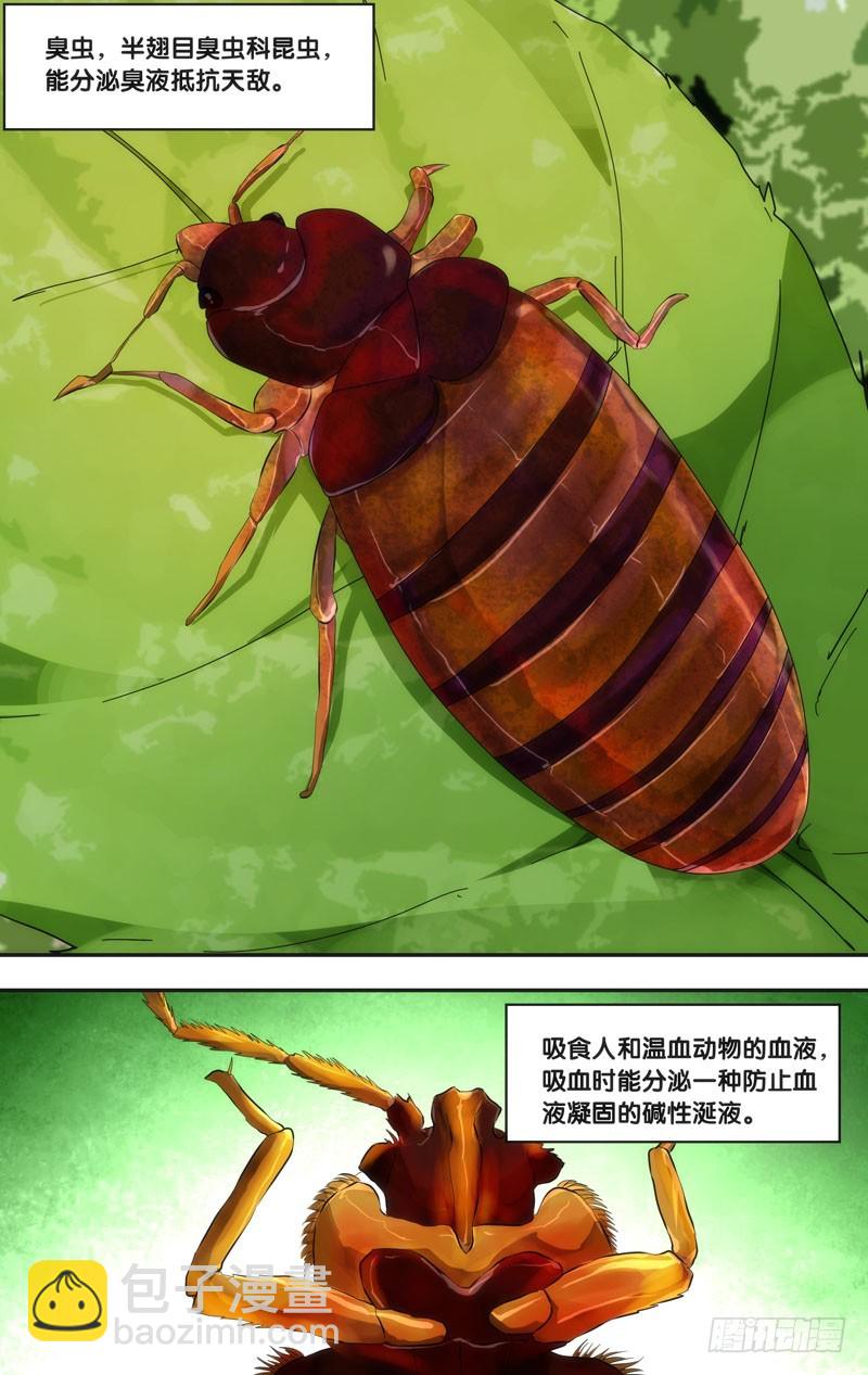 🍶虫生 49.胜负 第10页