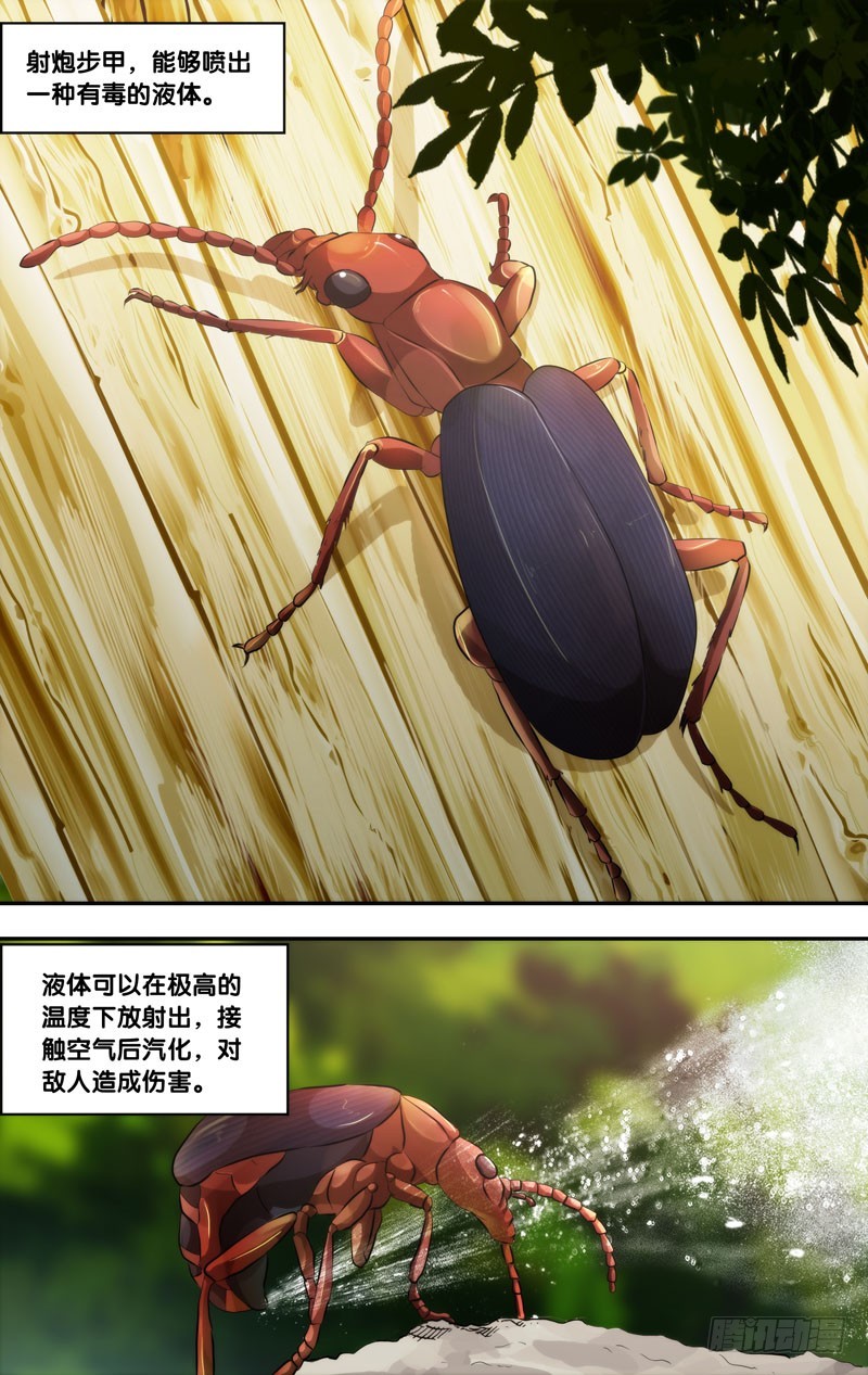 🍶虫生 55.射炮步甲 第1页