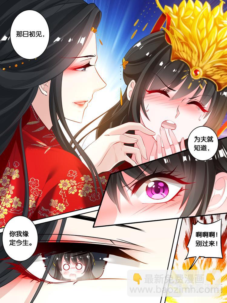 第19话 洞房花烛-第19话