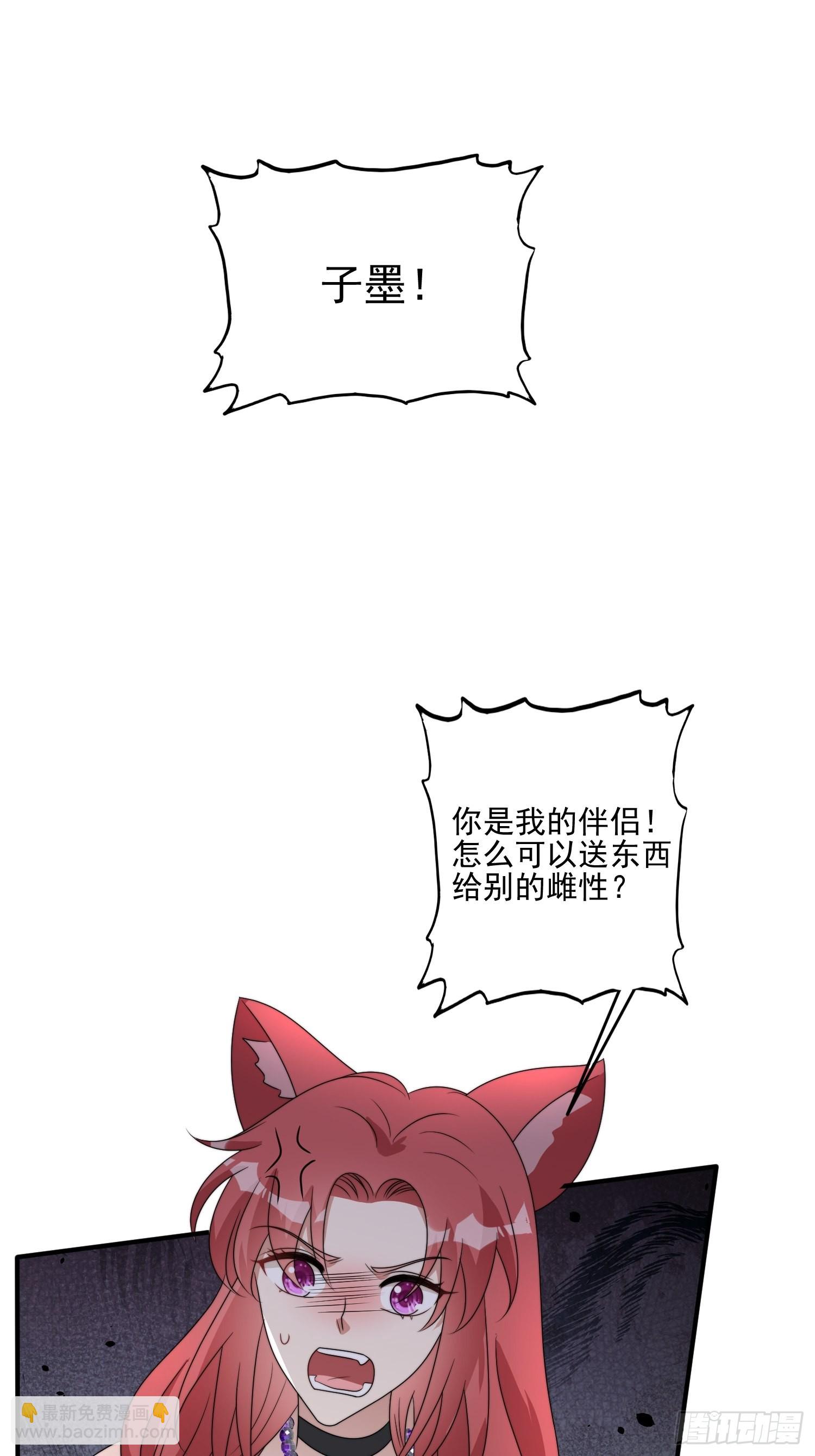 49话 再见苏菲！-第51话