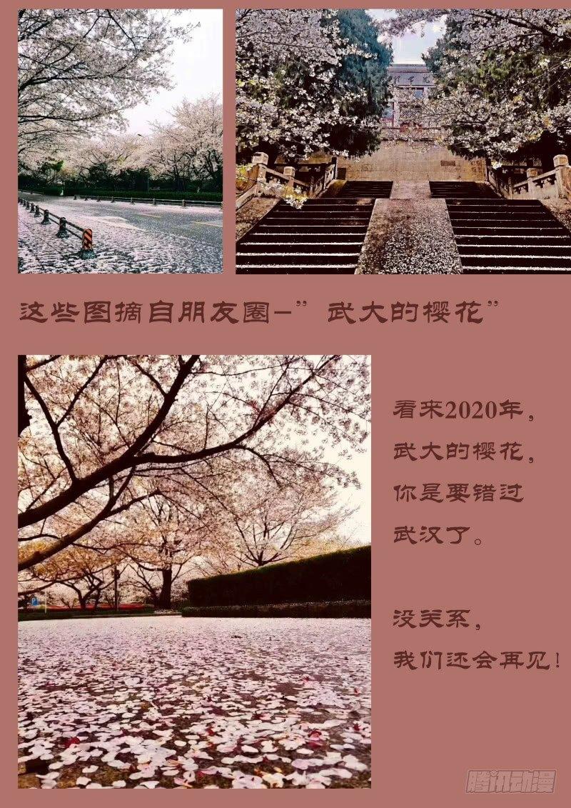 第七十九话：锦卤云吞-第175话