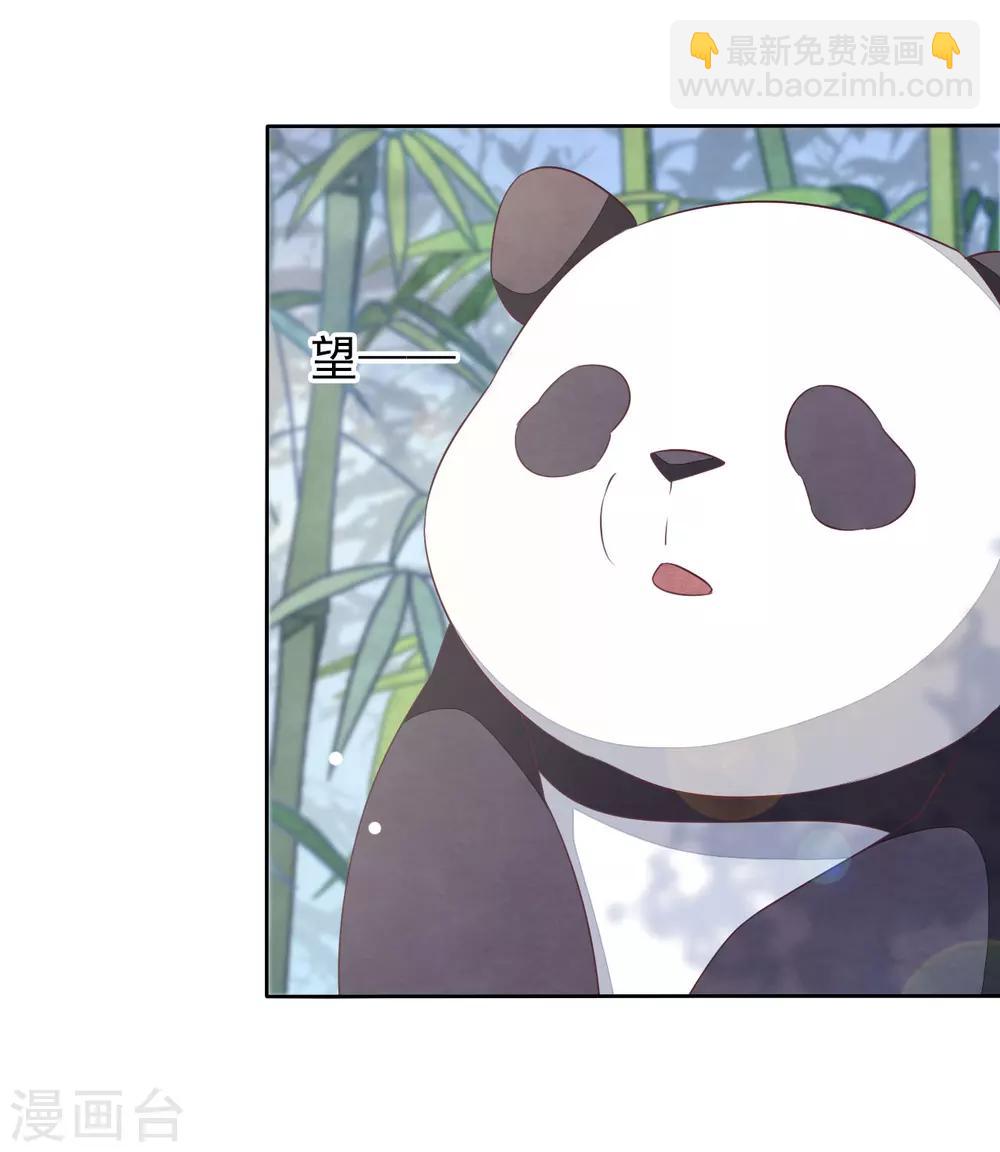第1话2 我变成熊猫了？！(1/2)-第3话