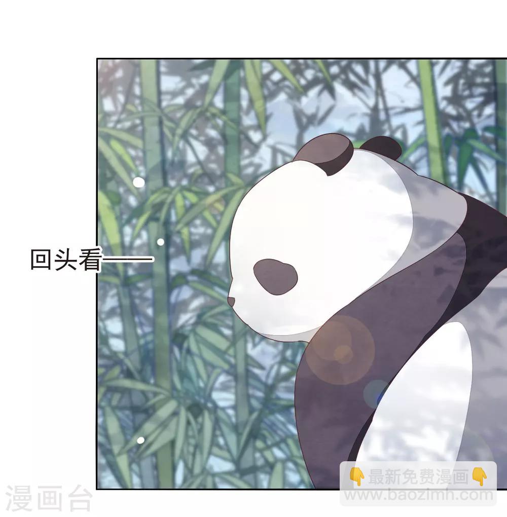 第1话2 我变成熊猫了？！(1/2)-第3话