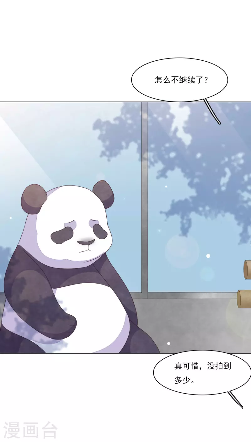 第185话 再见了小熊猫-第205话