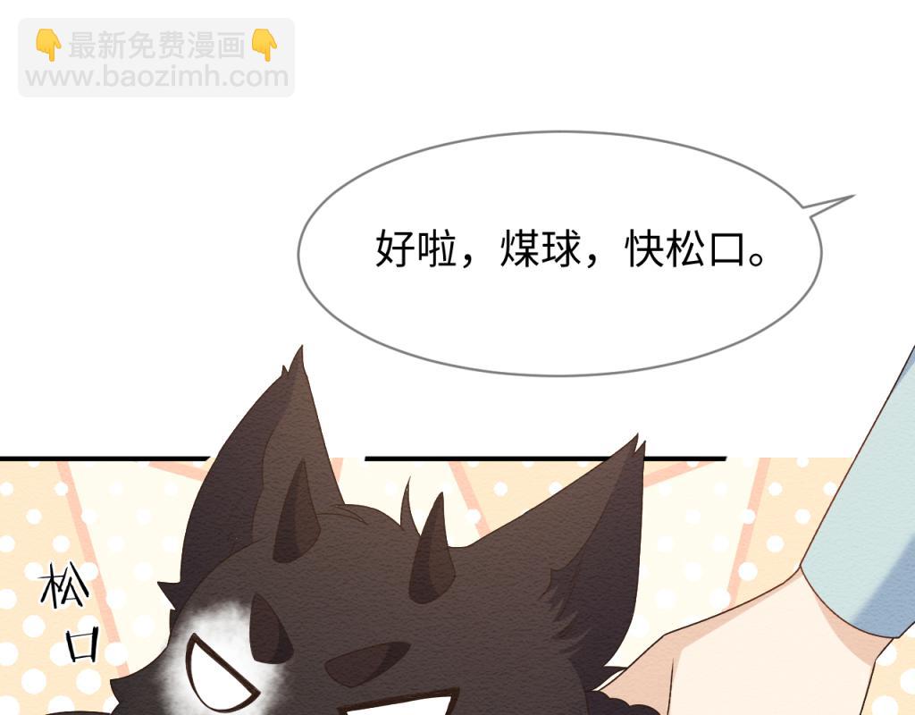 第14话 崽崽和人吵架了？！(1/3)-第15话