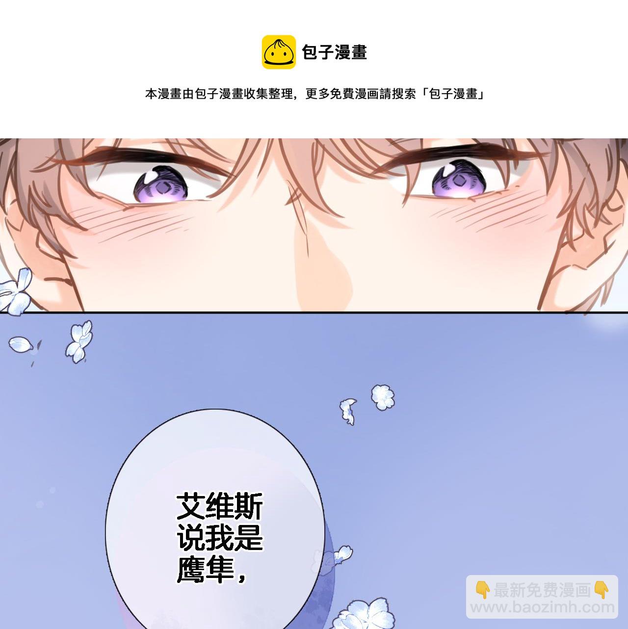 第六十九话 我的小鸟(1/2)-第71话