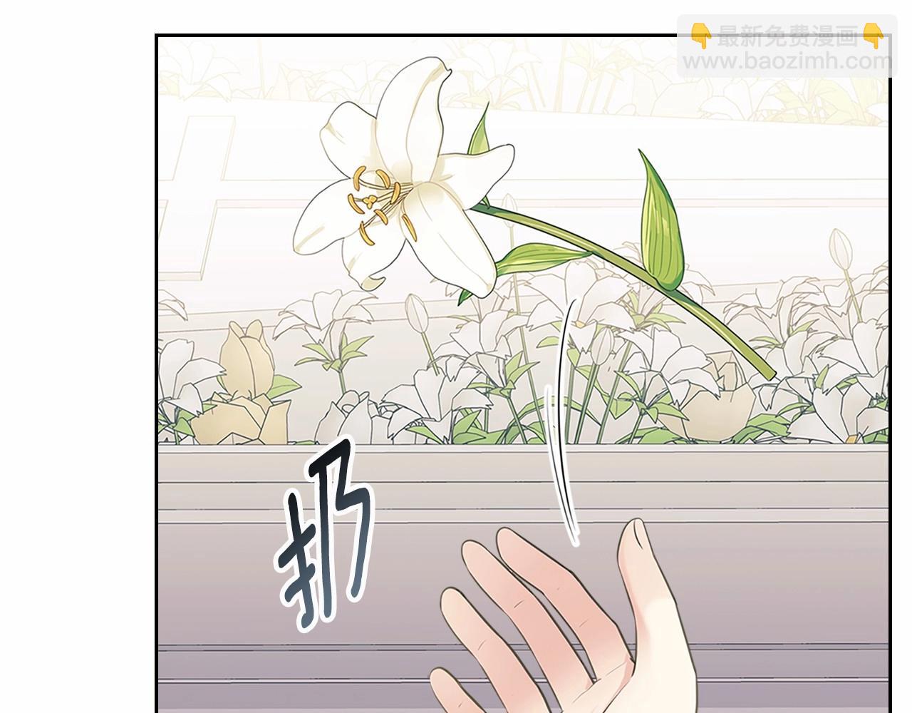 🍶穿越成公爵家的女仆 第100话 补偿 第27页