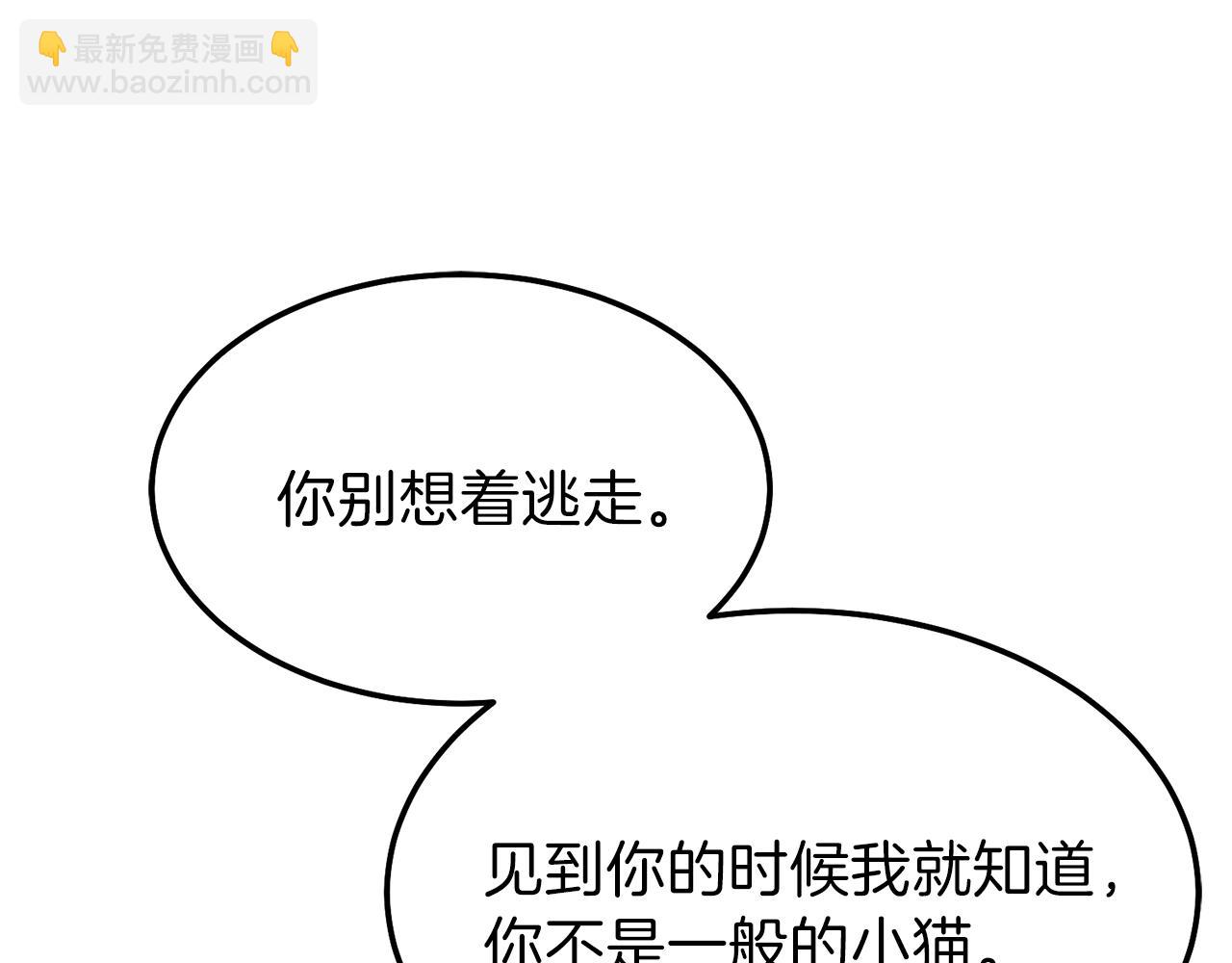 第一季完结篇 猫猫惊恐(1/4)-第41话