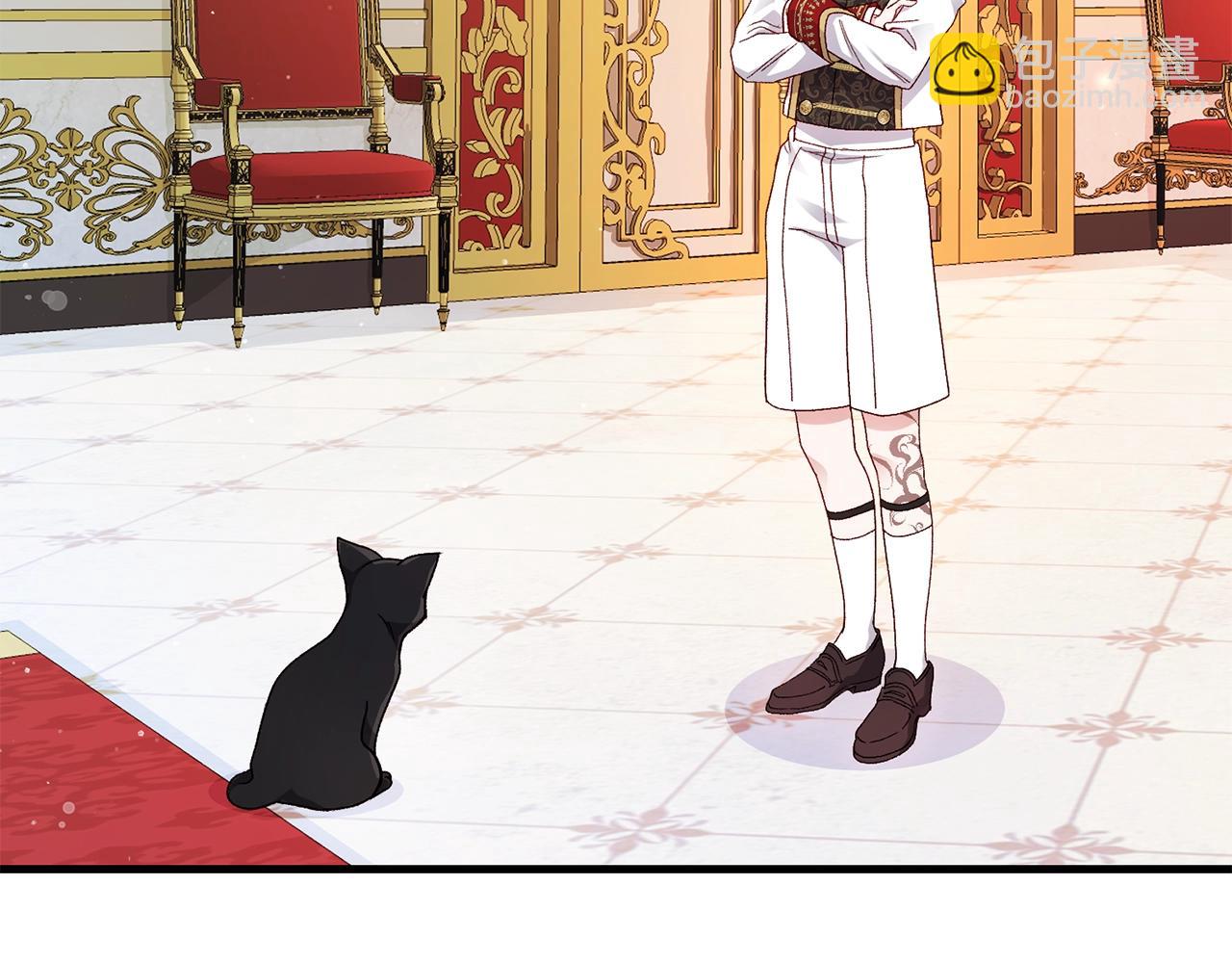 第一季完结篇 猫猫惊恐(1/4)-第41话