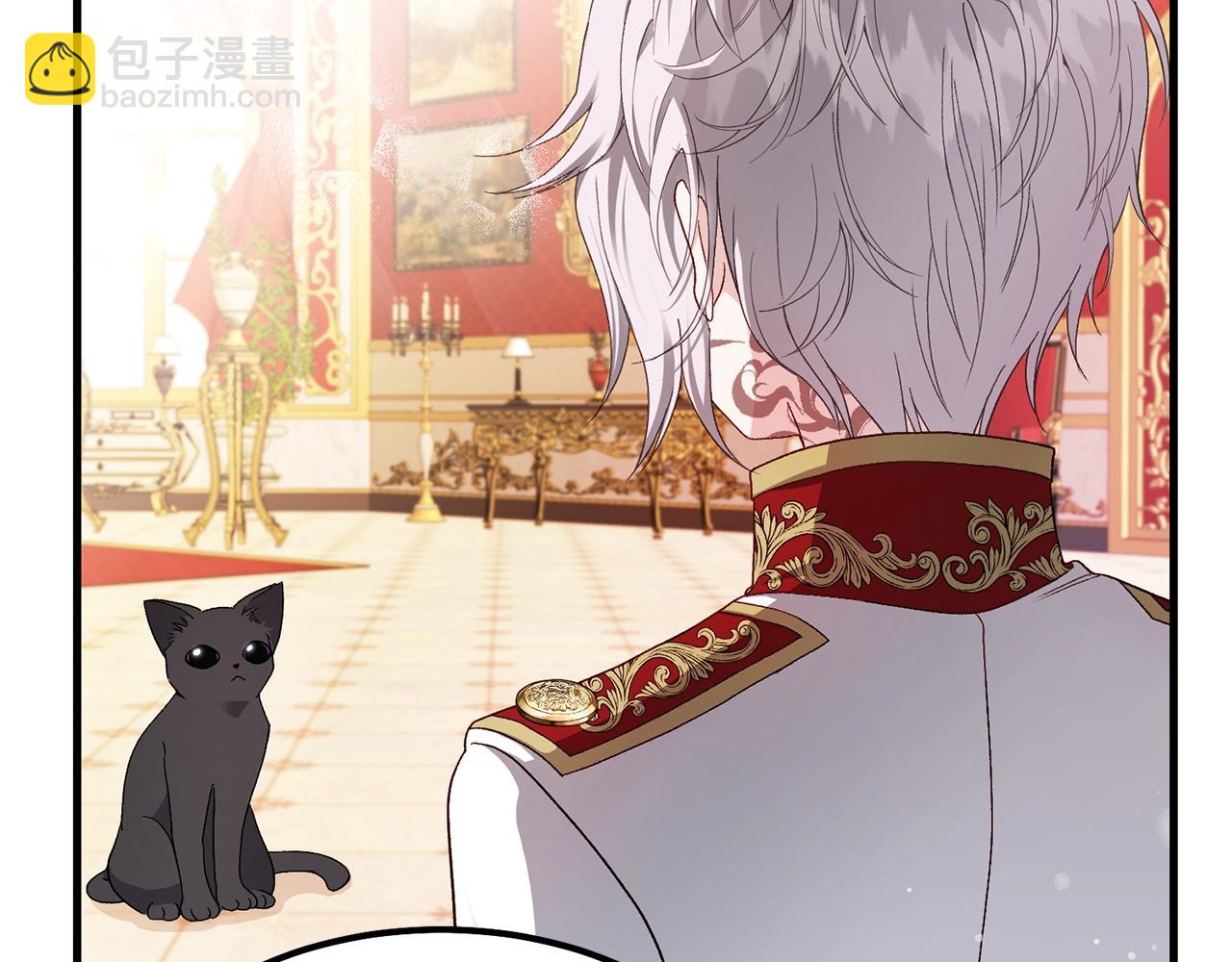 第一季完结篇 猫猫惊恐(1/4)-第41话
