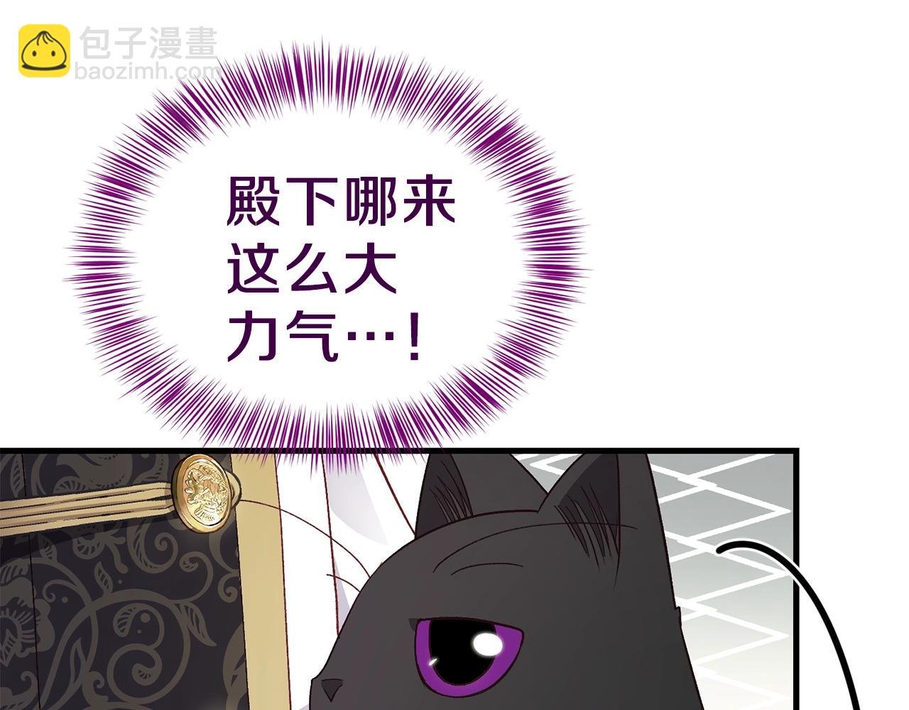 第一季完结篇 猫猫惊恐(1/4)-第41话