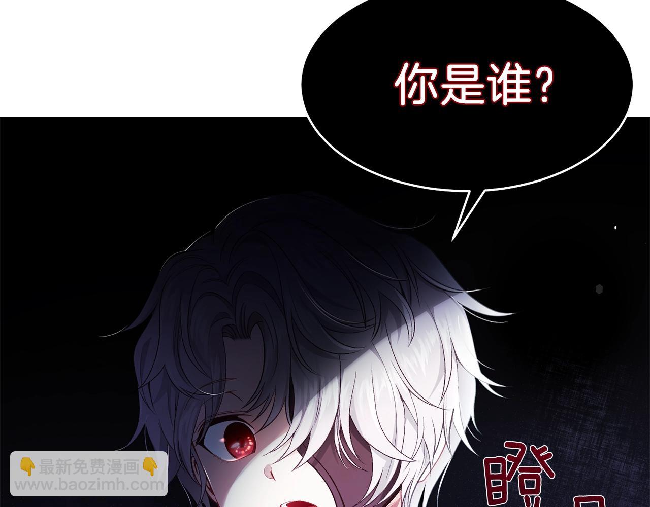第一季完结篇 猫猫惊恐(1/4)-第41话