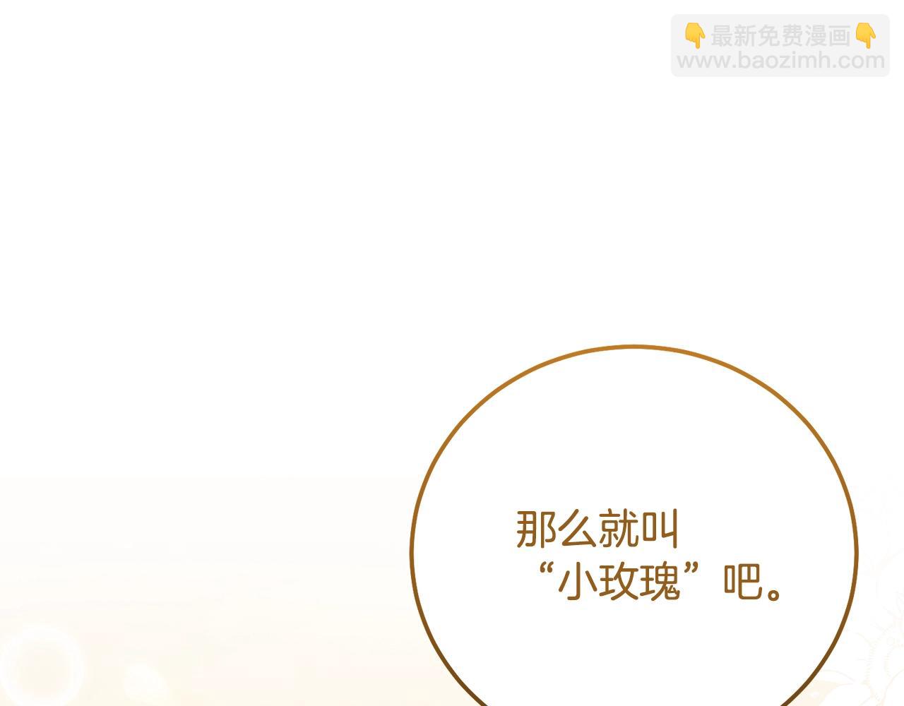 第35话 小玫瑰(1/4)-第77话