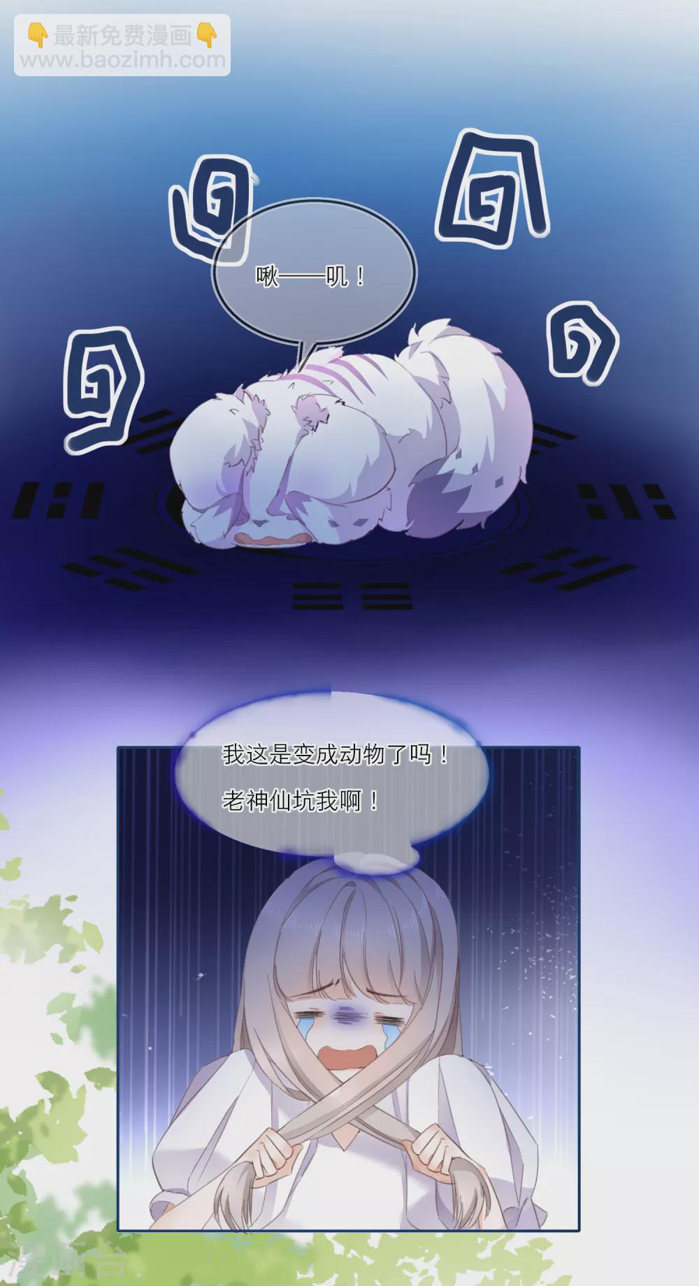 第1话 走程序还是直接穿越-第3话