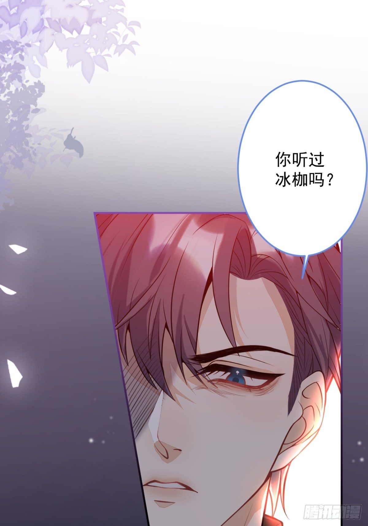11-小白兔大战大灰狼(1/2)-第13话