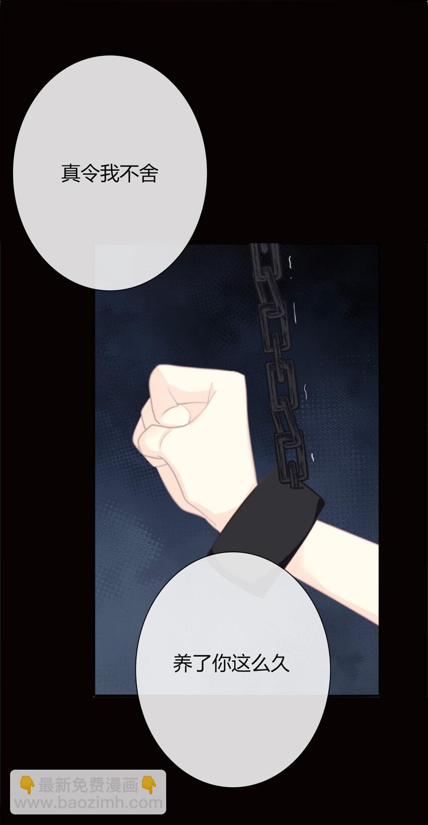 030 不只有爱情(1/2)-第33话