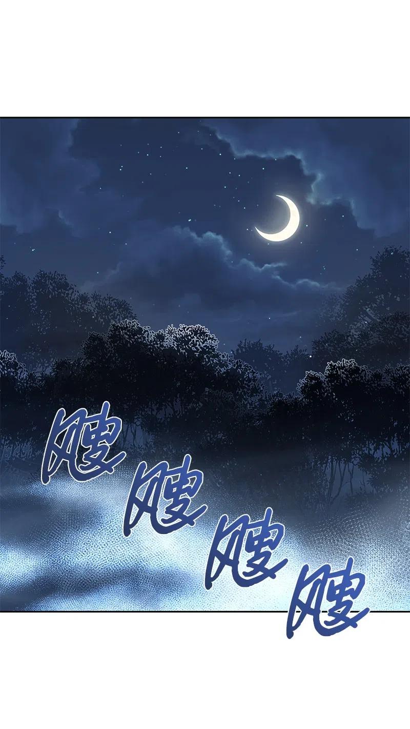 🍶穿越翻车指南 47 公爵小姐被盯上了 第36页