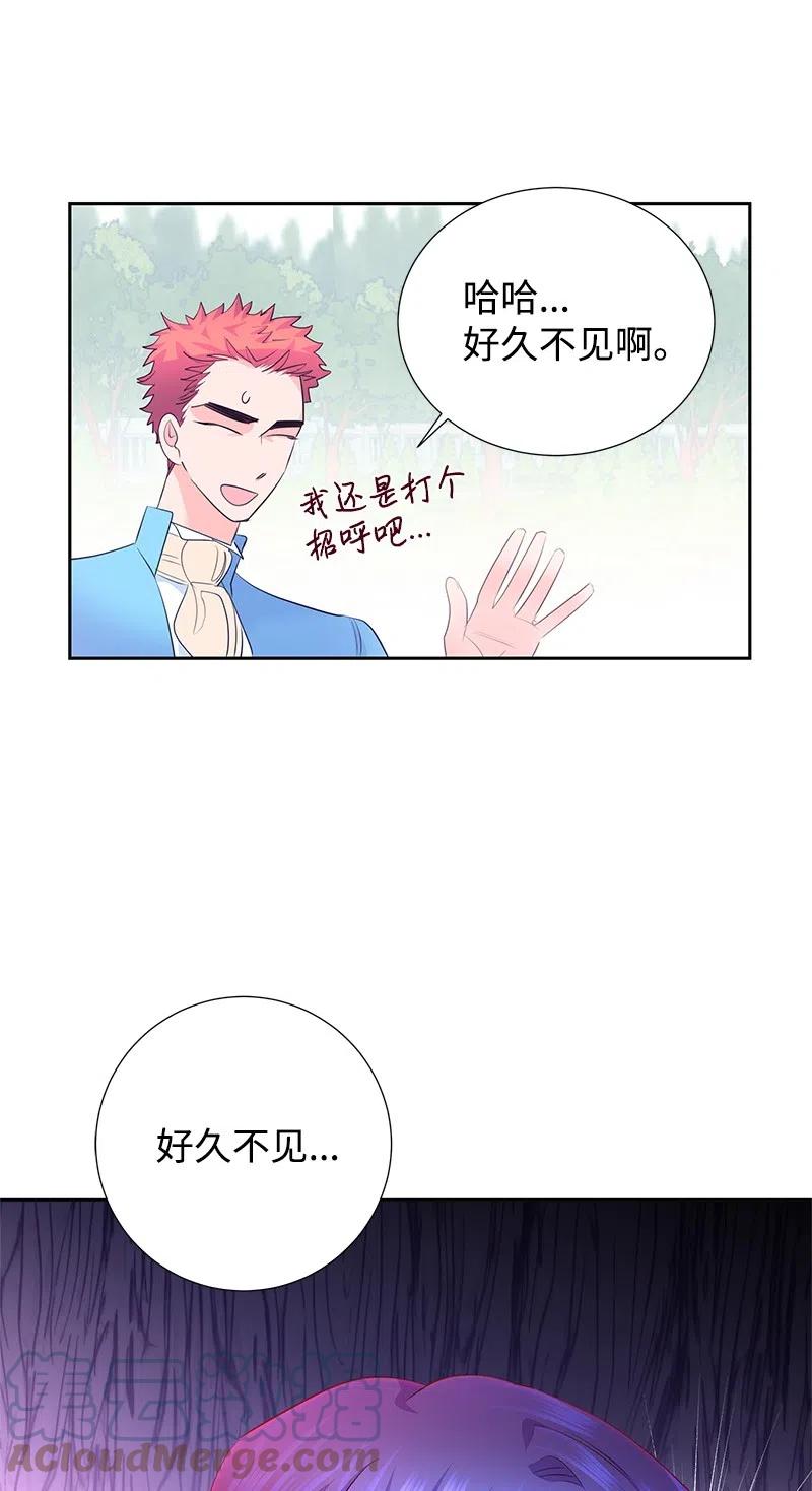 🍶穿越翻车指南 61 皇太子妃是郎特里公爵女 第19页