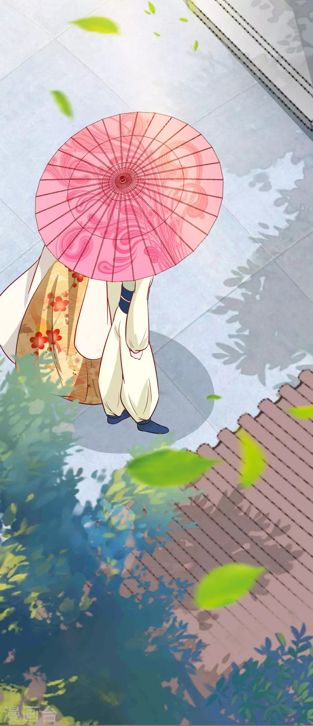 🍶穿越王妃，夫君别找虐 005 转角偶遇 第28页