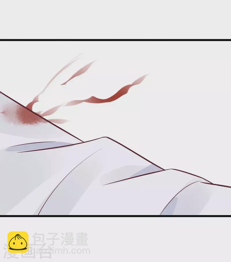 🍶穿越王妃，夫君别找虐 049 挡刀 第29页