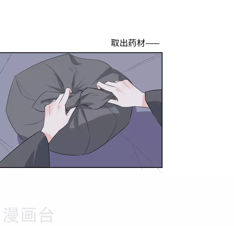 🍶穿越王妃，夫君别找虐 061 迟到的天山雪莲 第30页