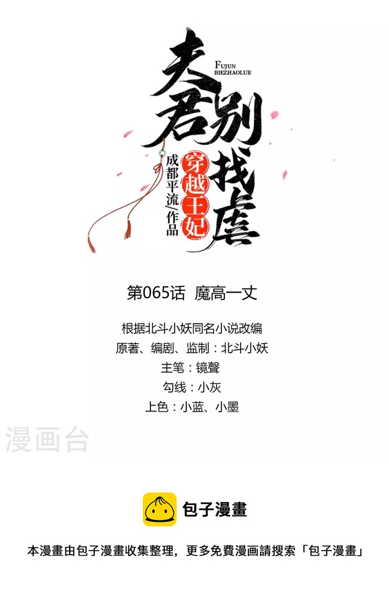 🍶穿越王妃，夫君别找虐 065 魔高一丈 第9页