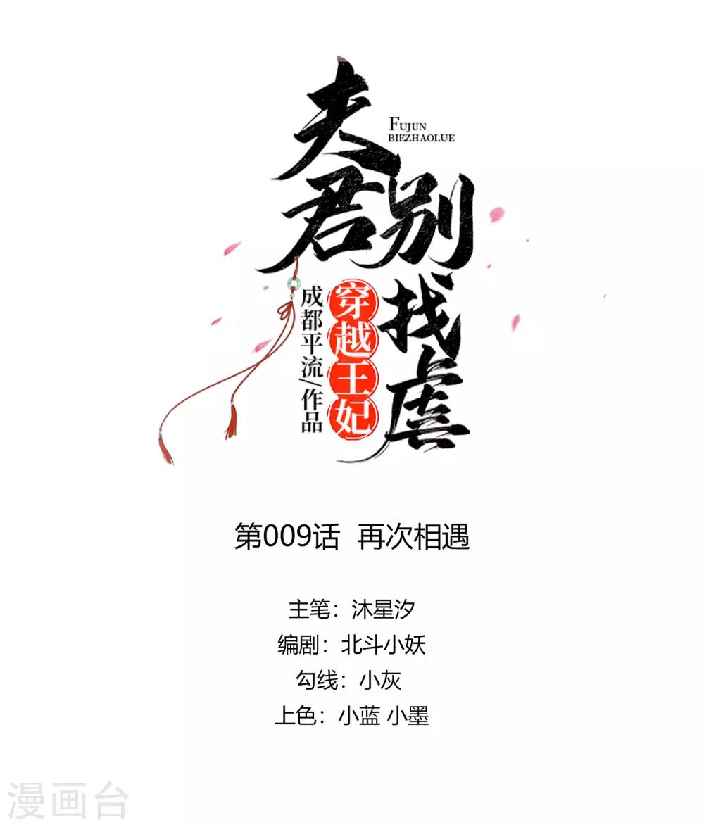 🍶穿越王妃，夫君别找虐 009 再次相遇 第1页