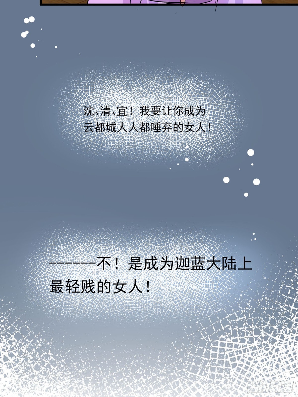 🍶穿越王妃，夫君别找虐 后宫准备晚宴了 第13页