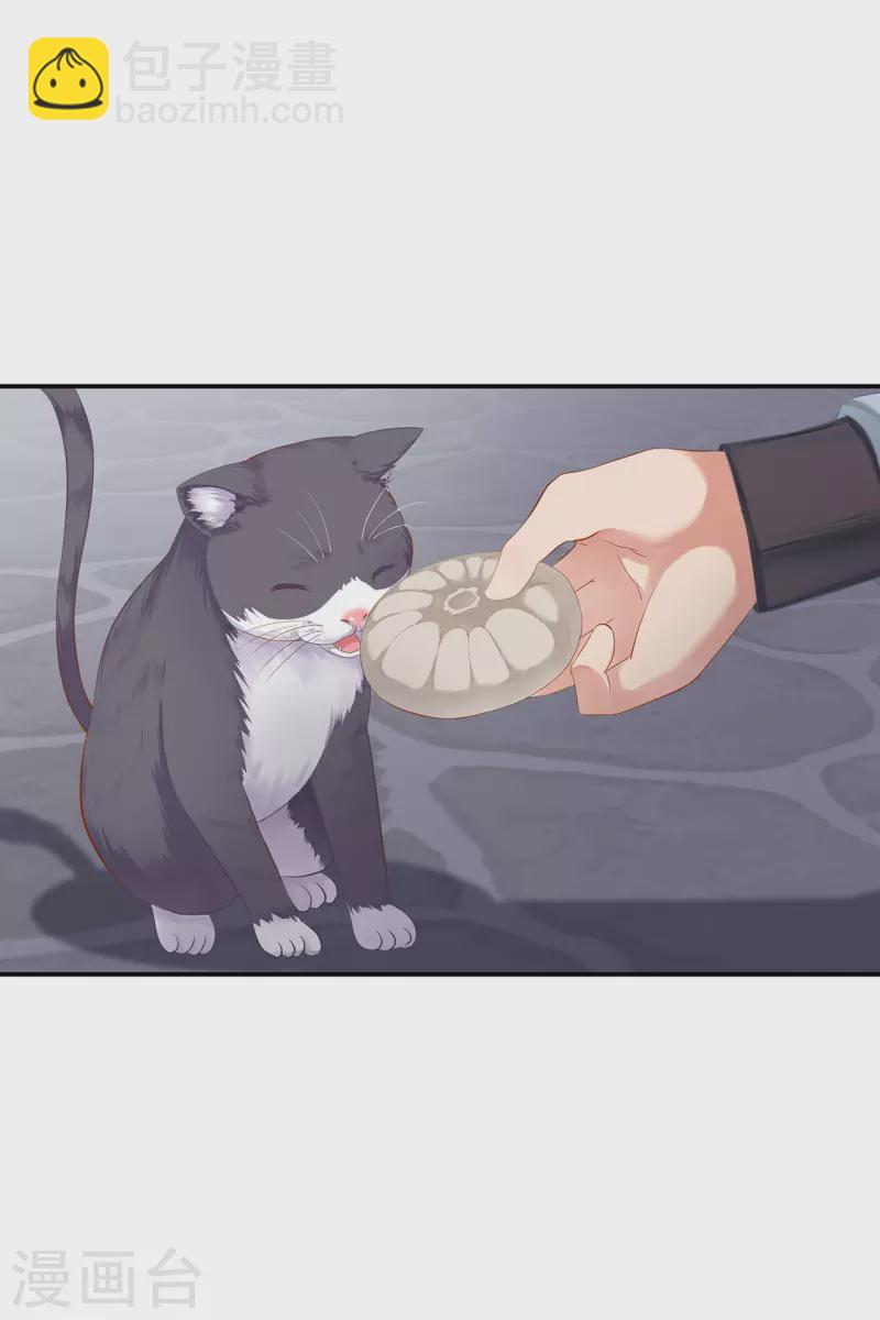 🍶穿越王妃要升级 第247话 夜宿冀州城 第3页