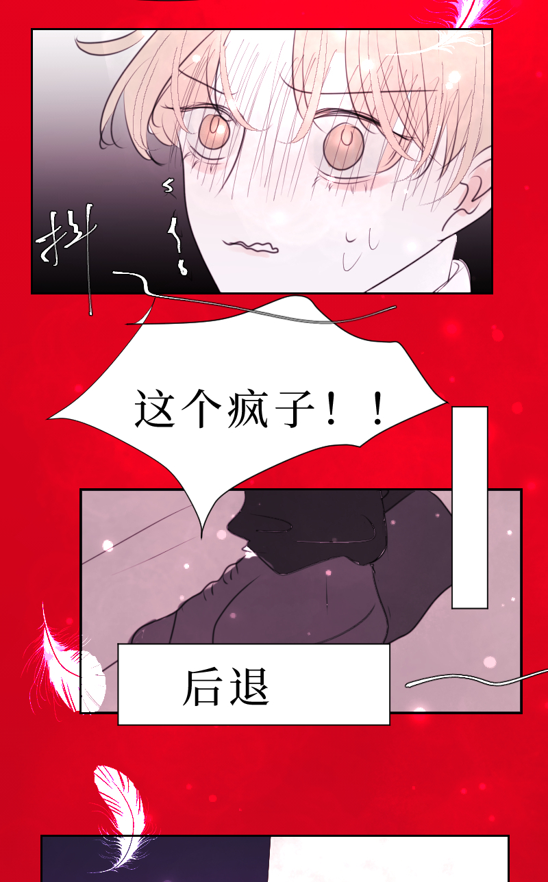 🍶穿越遇上重生 疯狗与疑端五 第11页