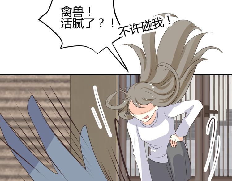 🍶穿越之千心翎 第8话 千金小姐穿越成保镖？ 第44页