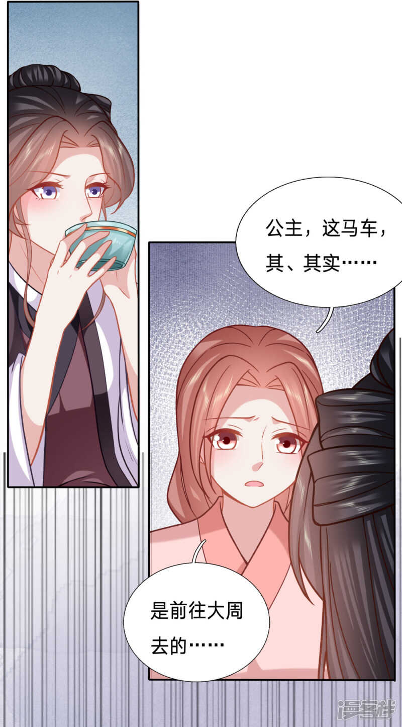🍶穿越之太子妃威武 婢女也反水 第3页