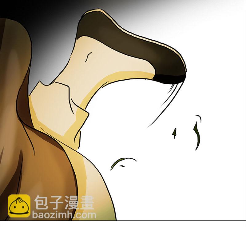 🍶穿越之哑巴王爷 037 新娘不是我（3） 第17页