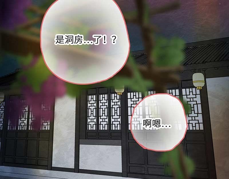 🍶穿越之哑巴王爷 093 付夫人（3） 第28页