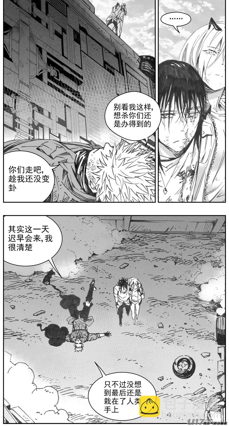 🍶雏蜂 314：第三部143灰狼的生意（十五） 第11页