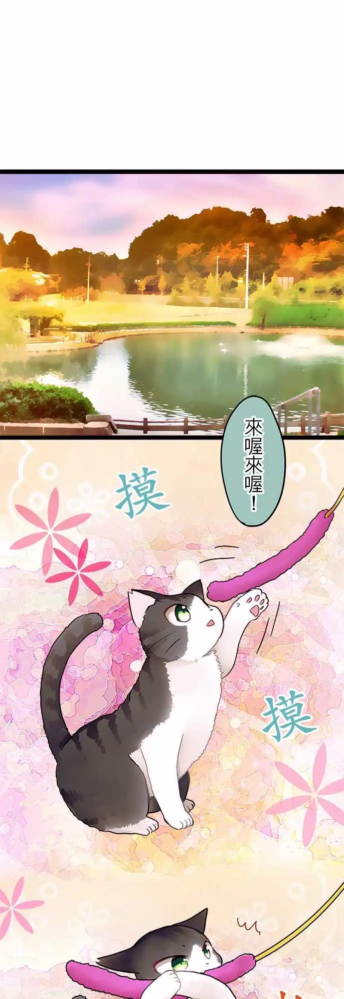 11-我讨厌这个-第11话
