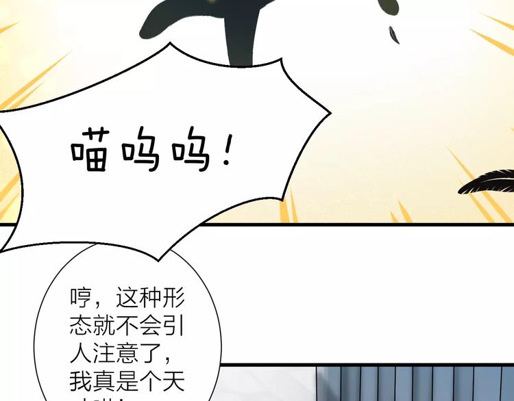第12话 万人迷的烦恼(1/2)-第13话