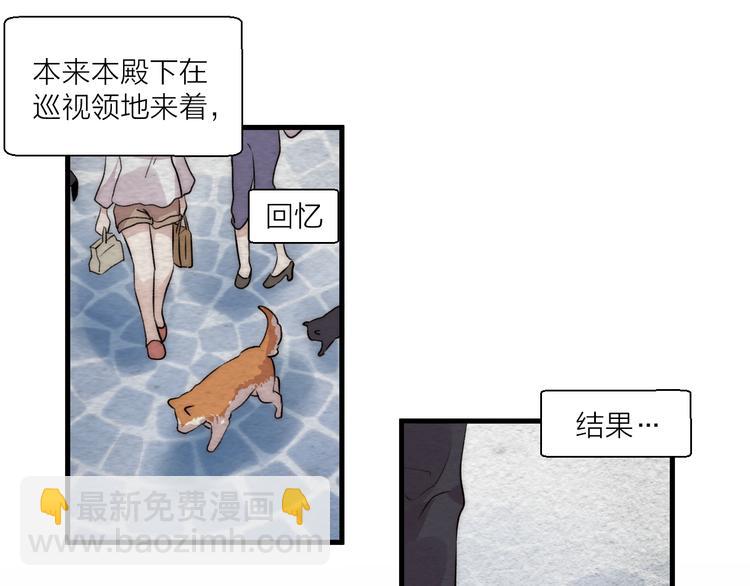 第37话 相遇(1/2)-第41话