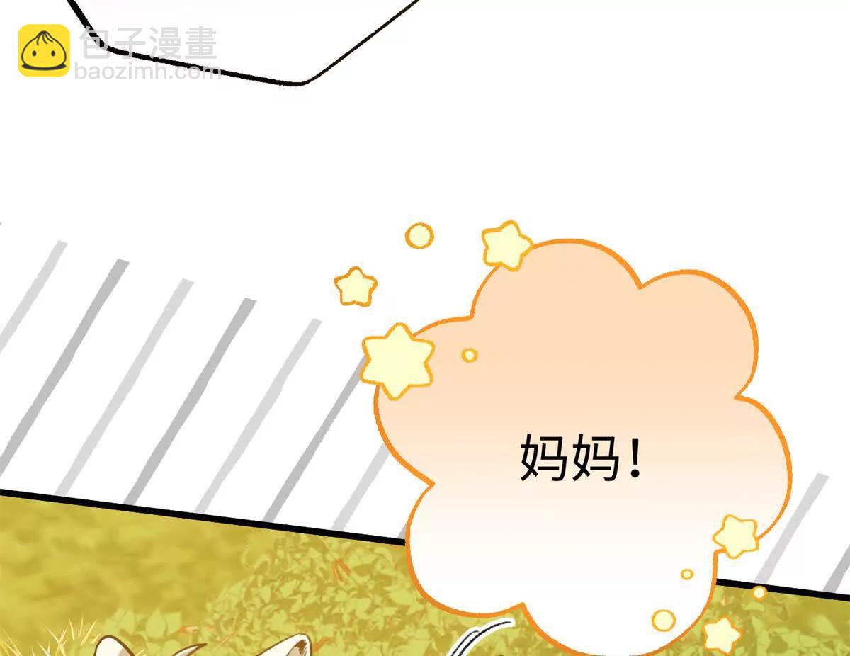 138 暗中守护的球球(1/2)-第139话