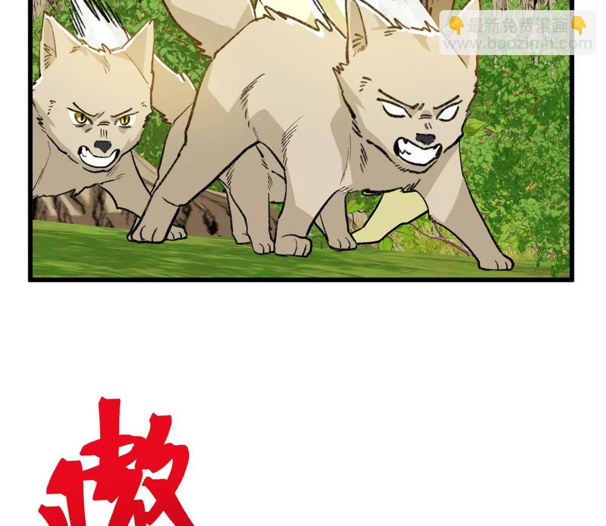 138 暗中守护的球球(1/2)-第139话