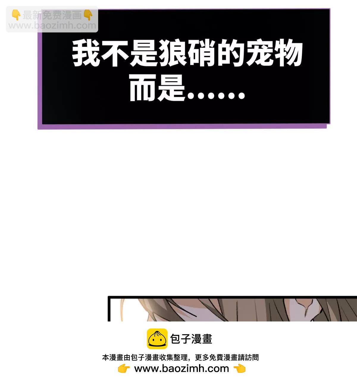 46 不是宠物是伴侣？！(1/2)-第47话