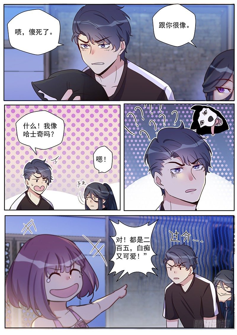 第29话：哈士奇精-第31话