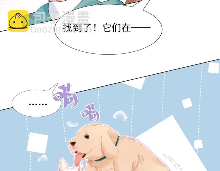 第2话 遛狗情缘(1/2)-第3话