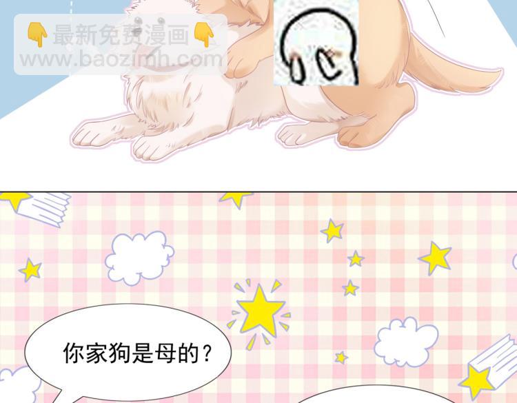 第2话 遛狗情缘(1/2)-第3话