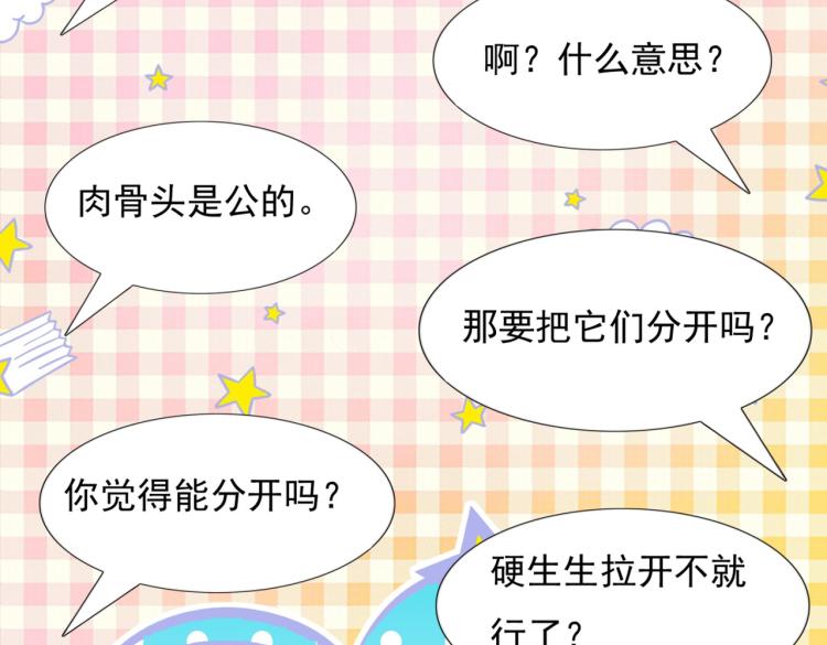 第2话 遛狗情缘(1/2)-第3话