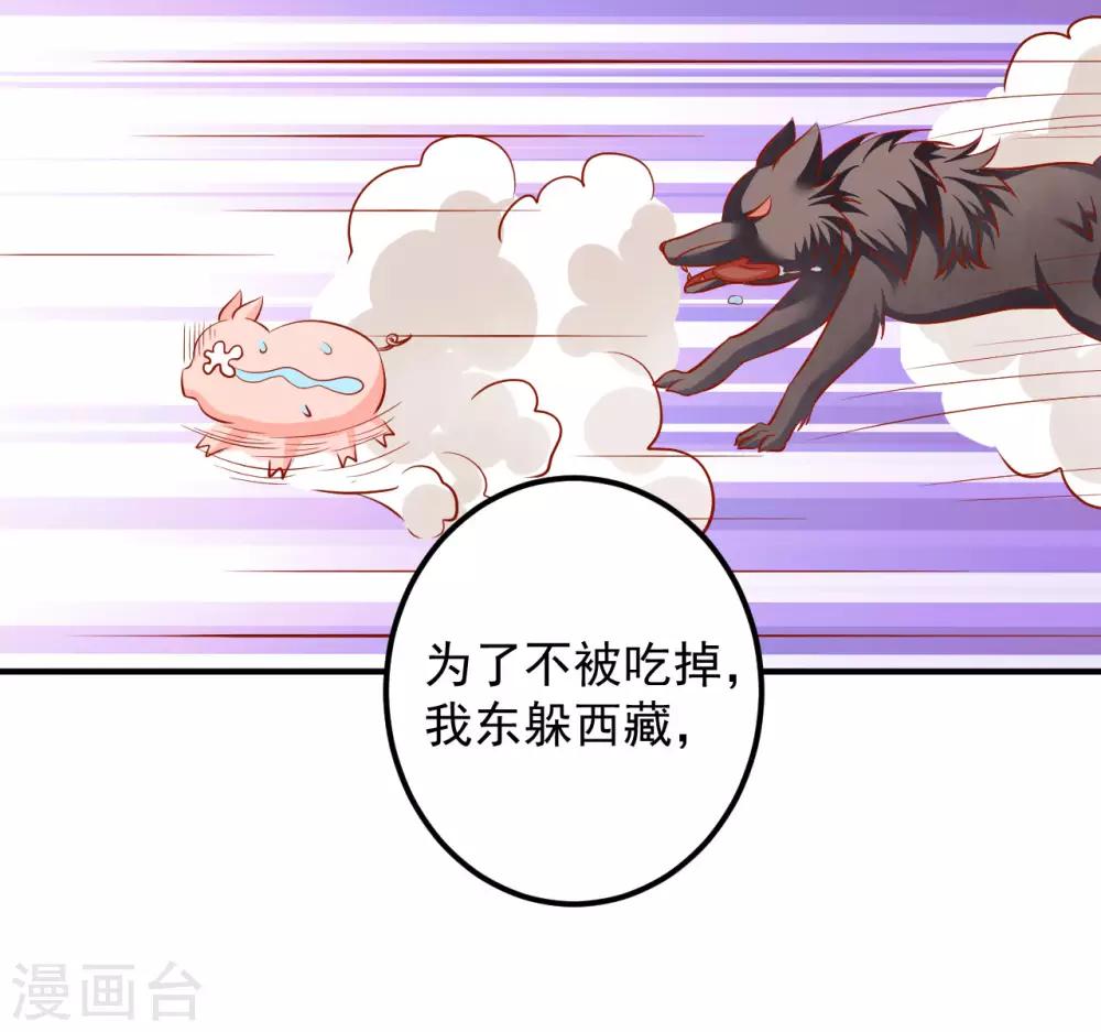 第87话 我竟然还没有一只猪重要？！-第89话