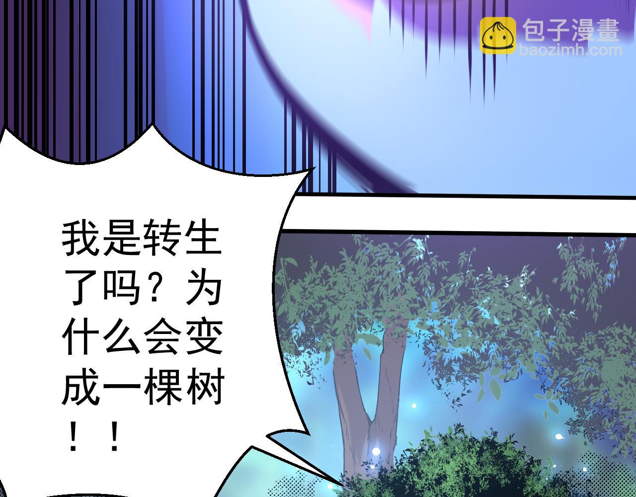 第1话 重生成树！(1/4)-第1话