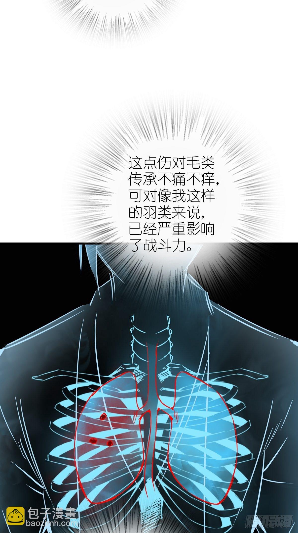 104 鹦鹉(1/2)-第107话