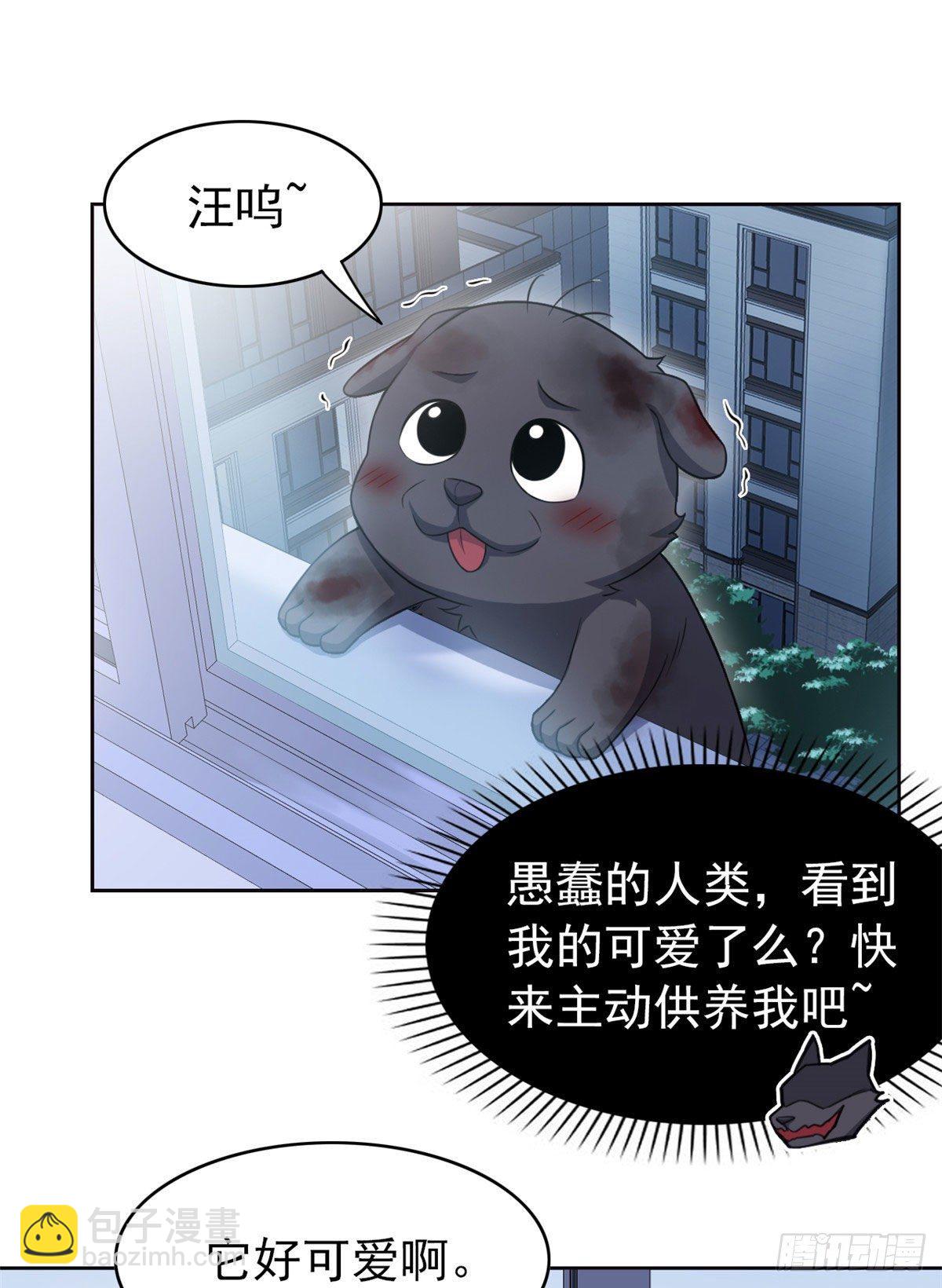 21 可爱=好吃(1/2)-第23话