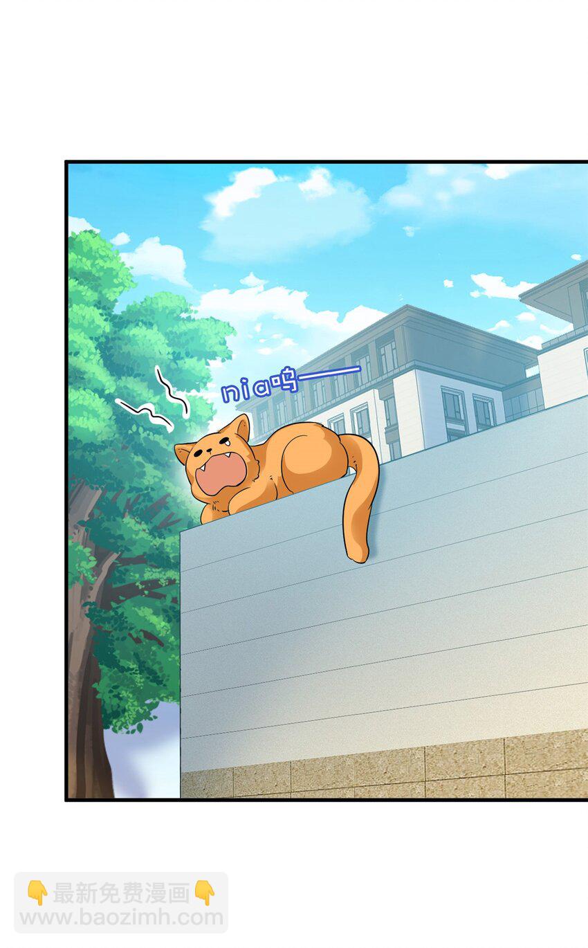 233 同意合作，全体进化(1/2)-第237话